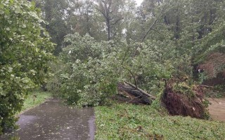 Povodně - mimořádná pomoc pro občany Sedlnic.