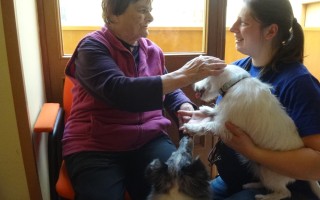 Canisterapie CANTES v krajích ČR jako sociální rehabilitace