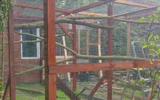 Společně ❤️ pro zvířata i v roce 2026