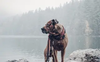 Pomozte Koudymu získat další společný čas