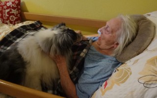 Canisterapie CANTES v krajích ČR jako sociální rehabilitace