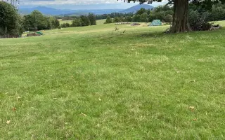 Sucho vypálilo pastviny. Zachráněná zvířata potřebují seno.