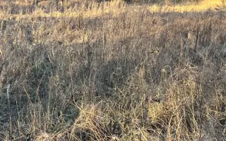 Pomoc s úhradou právních nákladů