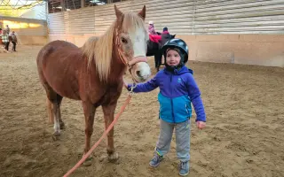 Pomozte nám postavit trojbox pro ustájení hiporehabilitačních koní DORADO z. s.