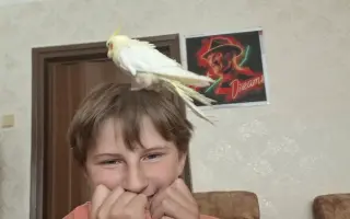 Kristýna potřebuje zajistit nezbytné opravy domu