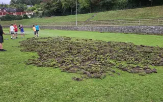 Oplocení fotbalového hřiště proti divokým prasatům