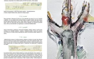 Jaru Kalvodová: ONKODENÍK   - VYDEJME HO SPOLEČNĚ!