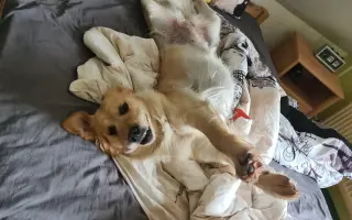 Za každé další ráno s Daisy 🐾