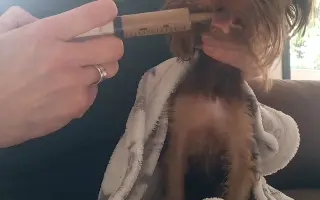 Bojovník Bertík vážící pouhé 1 kilo