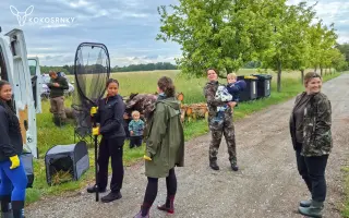 Pomozte Kokosrnkám pořídit odolnější termodron pro záchranu mláďat