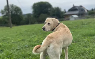 Pomozme Timmymu znovu stát na vlastních nohách.