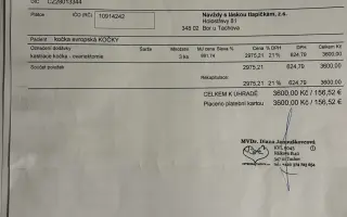 Pomoc kočkám dochází nám zásoby krmení