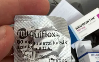 Prosíme, pomozte Nefince přestat trpět 💔