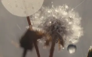 Podpořte film PORTRÉT VODY v cílové rovince!