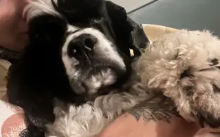 🐾 Pomozme Dubínkovi vyhrát svůj boj