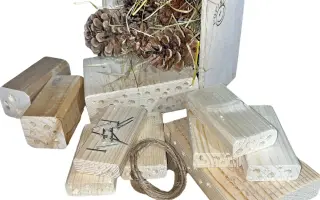 Staňte se spolupachatelem nové detektivky pro děti - NEJEN VOSA LÍTÁ BOSA