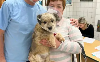 Lálinka by chtěla zase vidět