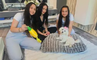 Pomozme s veterinárními náklady opuštěným zvířatům