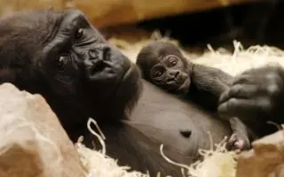 Podpořte knihu JAK SE DĚLÁ ZOO a vyražte s bývalým ředitelem do zoo!