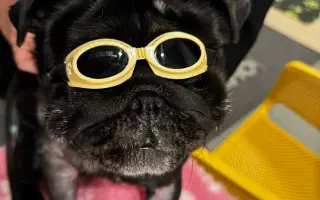 Záchrana nožičky pro Franka