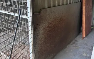 Útulek, který zachránil tisíce zvířat, dosluhuje. Pomozte nám ho opravit.