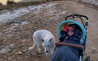 Dejme Julince šanci na první krůčky díky rehabilitaci