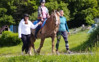 Přispějte na operaci hiporehabilitační klisny Kenyi, aby mohla dále pomáhat