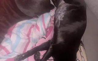 POMOC PRO ABBEY – DŮSTOJNÁ PALIATIVNÍ PÉČE