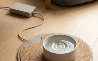 Podpořte vybudování centra, aby i slepí a hluší pejsci našli bezpečný domov