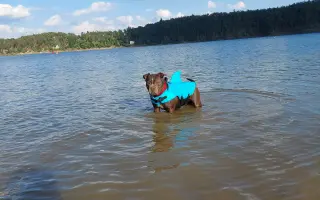 Pomozme Ele opět poznávat svět