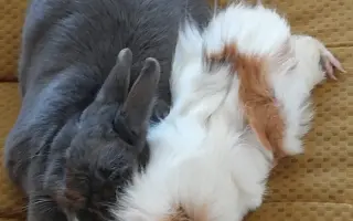 Podpora pro Pavlínu, která sama vychovává dceru Káju a léčí se s rakovinou