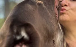 Pooperační péče pro Siriho