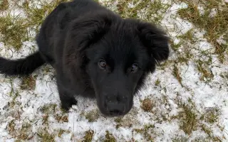 Pomoc pro Lilinku, která bojuje o život.