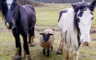 Tami ❤️ a její léčba, která nebere konce