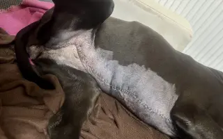 POMOC PRO ABBEY – DŮSTOJNÁ PALIATIVNÍ PÉČE