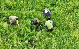 🦌 Zachraňme srnčata v Bráně Beskyd   Frýdlant nad Ostravicí - Pstruží