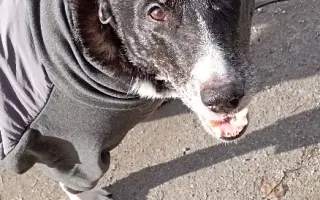 Zázrak pro Enie – prosím, nenechte mě to vzdát