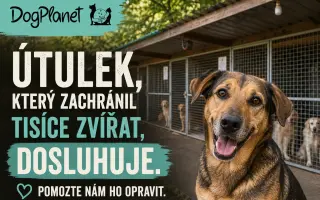 Útulek, který zachránil tisíce zvířat, dosluhuje. Pomozte nám ho opravit.
