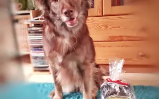 Rozinka pomáhá dětem, nyní potřebuje pomoc ona