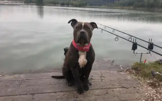 Pomozme Ele opět poznávat svět