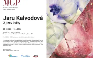 Jaru Kalvodová: ONKODENÍK   - VYDEJME HO SPOLEČNĚ!