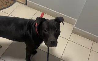 (⁠✿⁠ ⁠♡⁠‿⁠♡⁠)  Pro Koru, aby mohla opět běhat