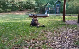 Pomoc Furině v boji s lupusem (SLE)