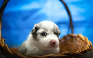 Podpořte pořízení nového fotovybavení