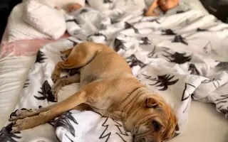 Pomozme Batkusovi porazit rakovinu