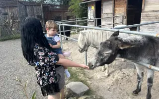 Pomozte Pavlíkovi (2,5 roku) získat rok intenzivní ergoterapie
