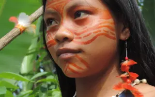 Amazonie volá o pomoc: zachraňme tisíce druhů zvířat a rostlin před těžaři