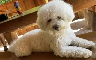 Pomozte nám zachránit naši Elinku