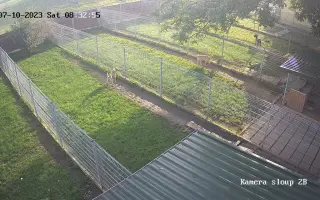 Pomozte zachránit Psí domov spolku Zastavme Utrpení.