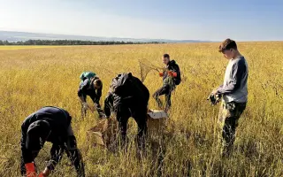 Létající záchranář – DRON na záchranu srnčat a dalších mláďat před sečením
